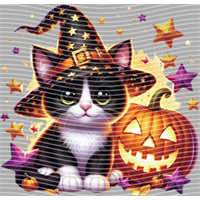 Halloween-WS 5737